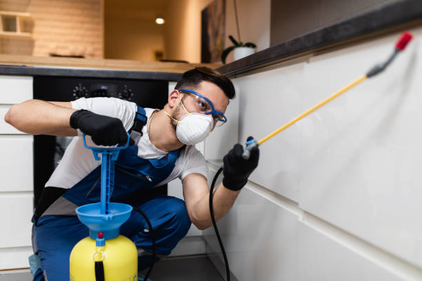 Best Pest Inspection Near Me  in Bainbridge, PA