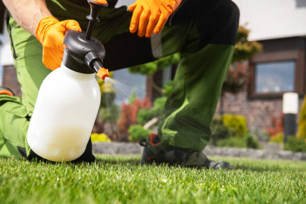 Best Pest Removal Services  in Bainbridge, PA