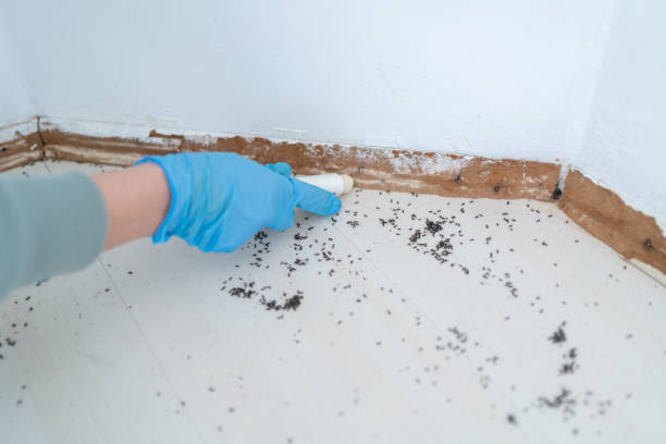 Best Pest Removal Services  in Bainbridge, PA